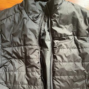 The Northface Men's Eco Jacket